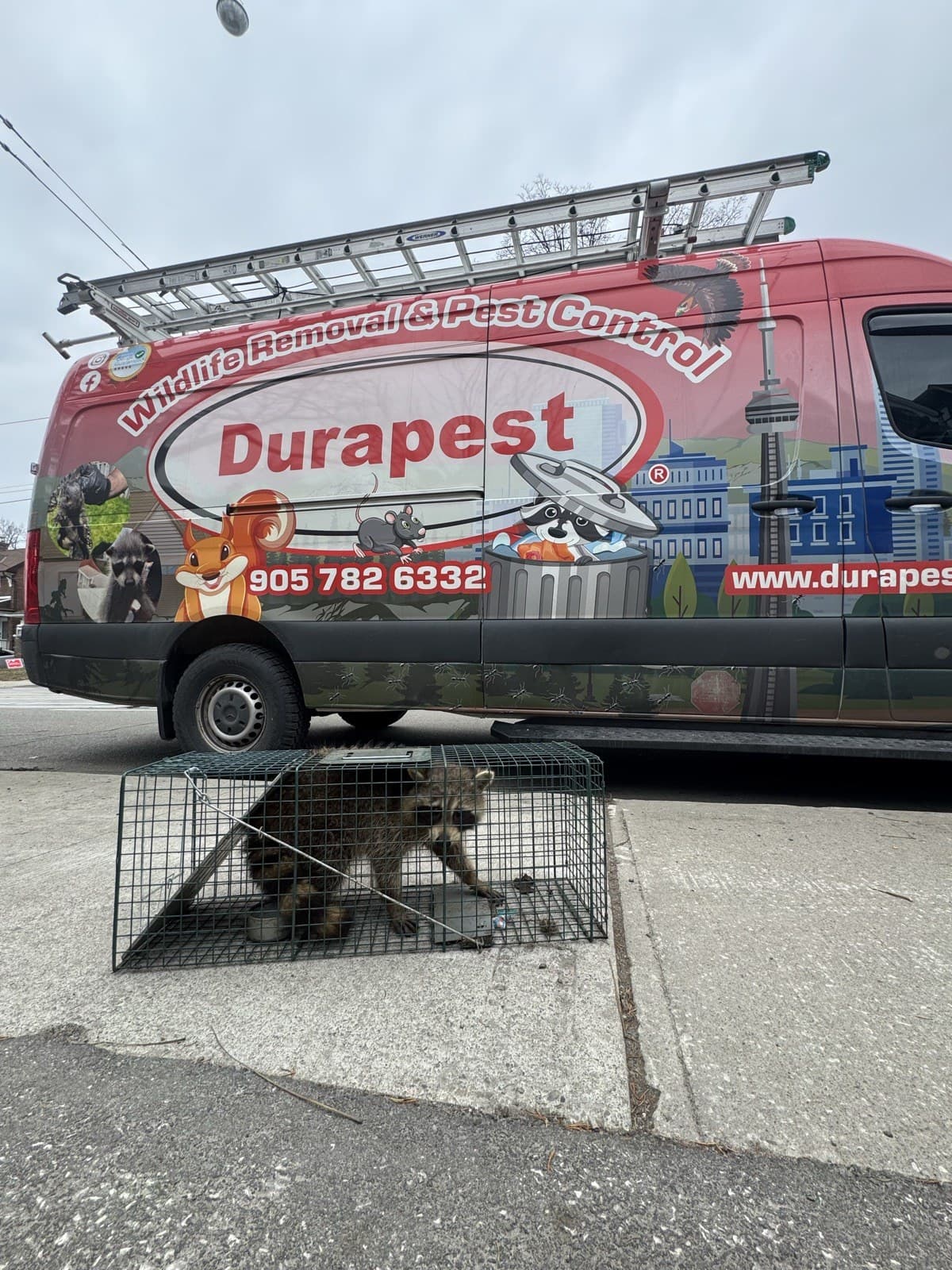 Durapest service vehicle on a residential GTA street
