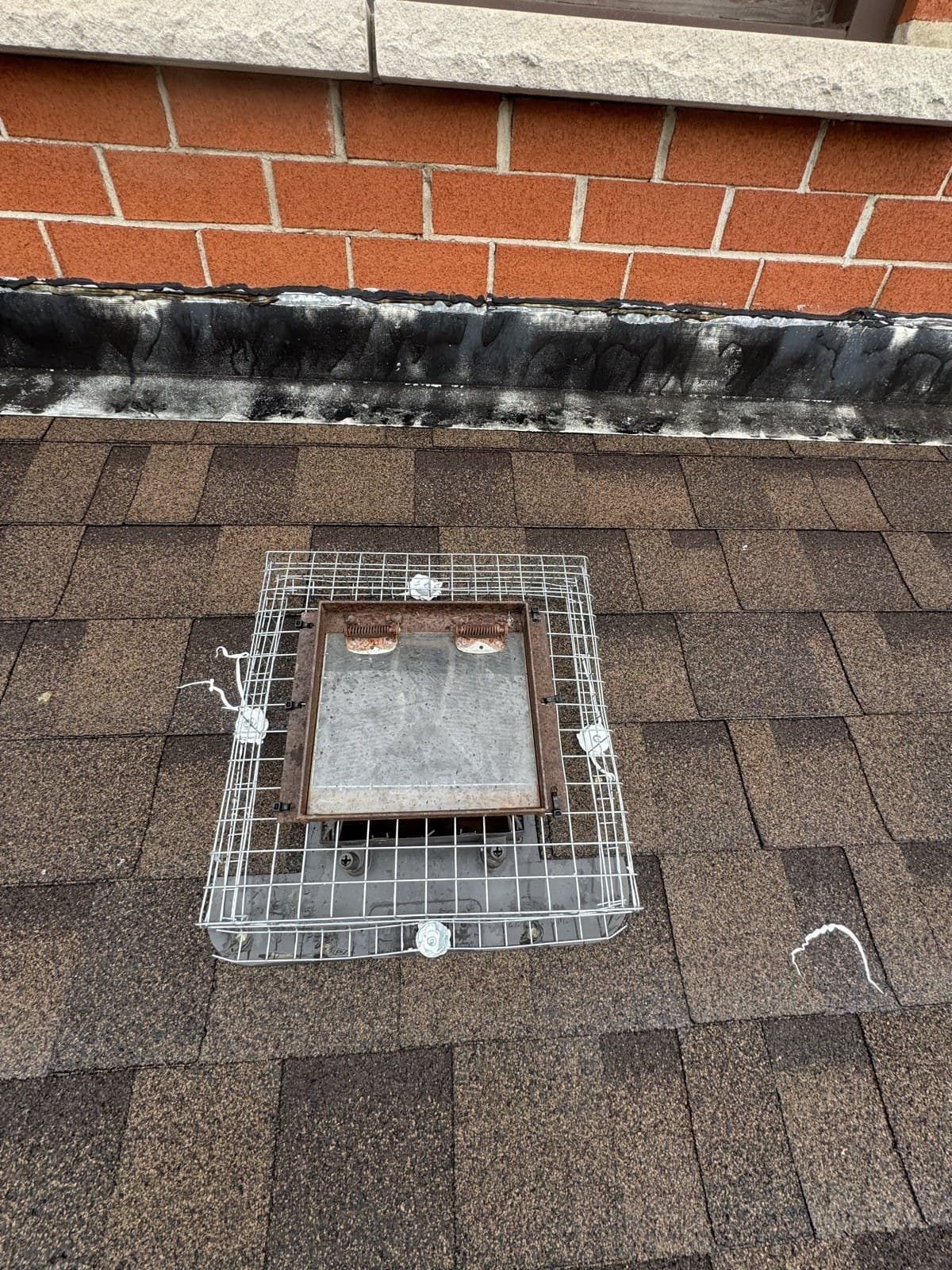 Steel cage exclusion installed over a roof vent