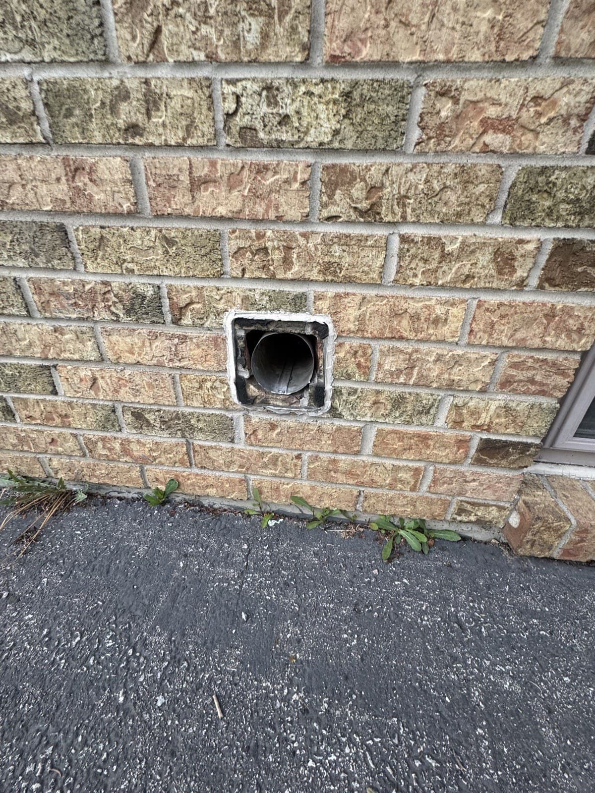 Rodent entry point sealed at a brick foundation