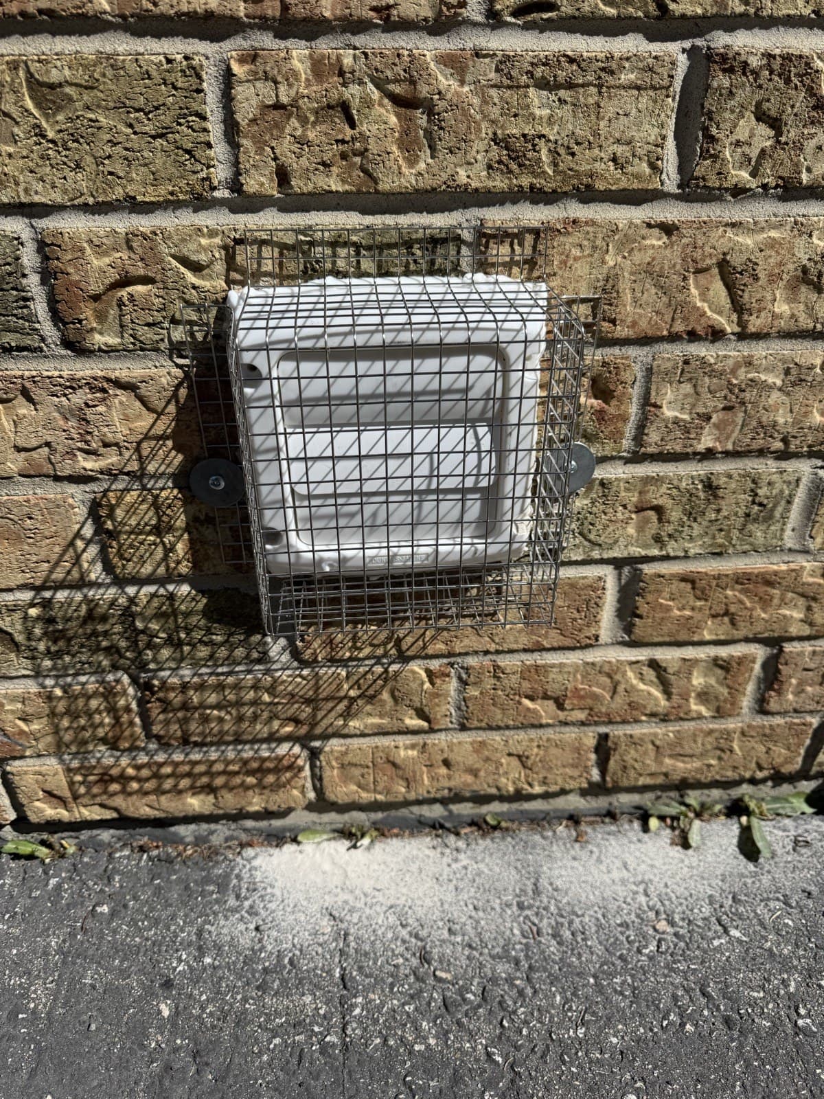 Steel mesh exclusion fitted over a wall vent